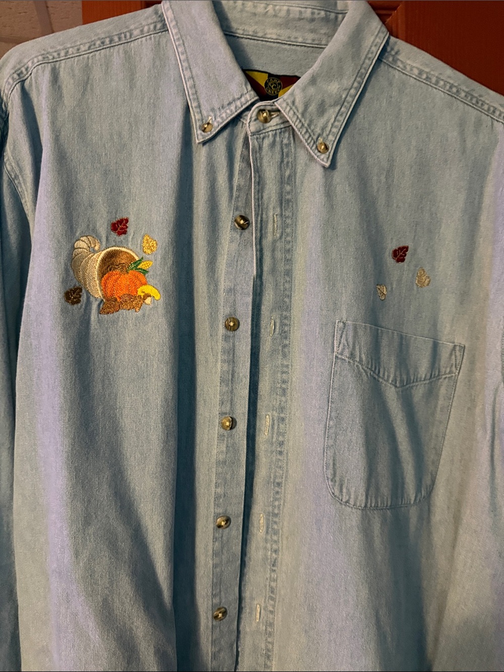 Light Wash Embroidered Denim Button-Down Shirt - Women